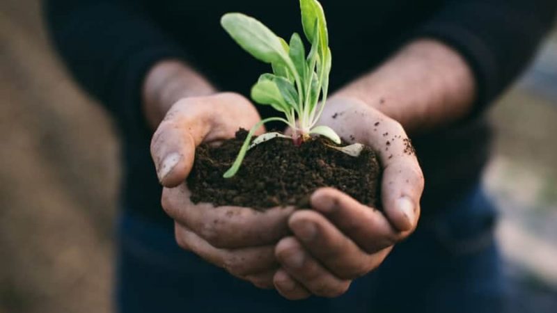 Sustainable Living: Nurturing the Planet and Your Well-Being