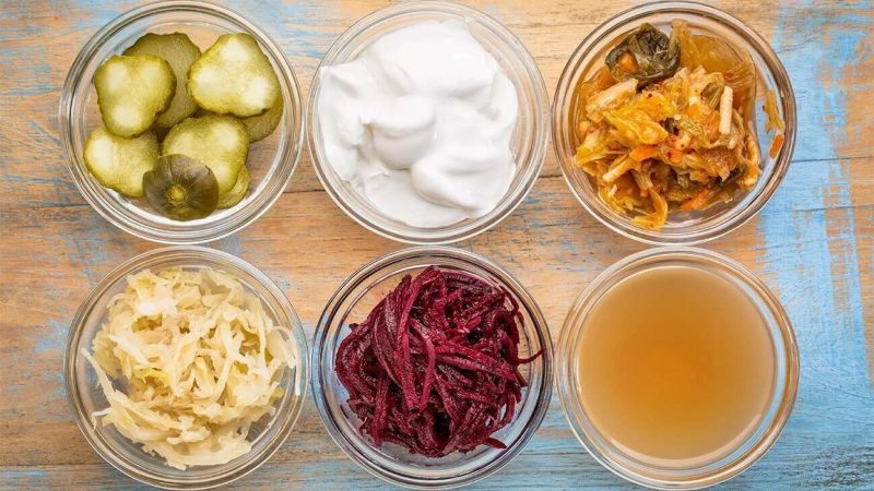 The Science of Prebiotics and Probiotics: Nurturing a Healthy Gut